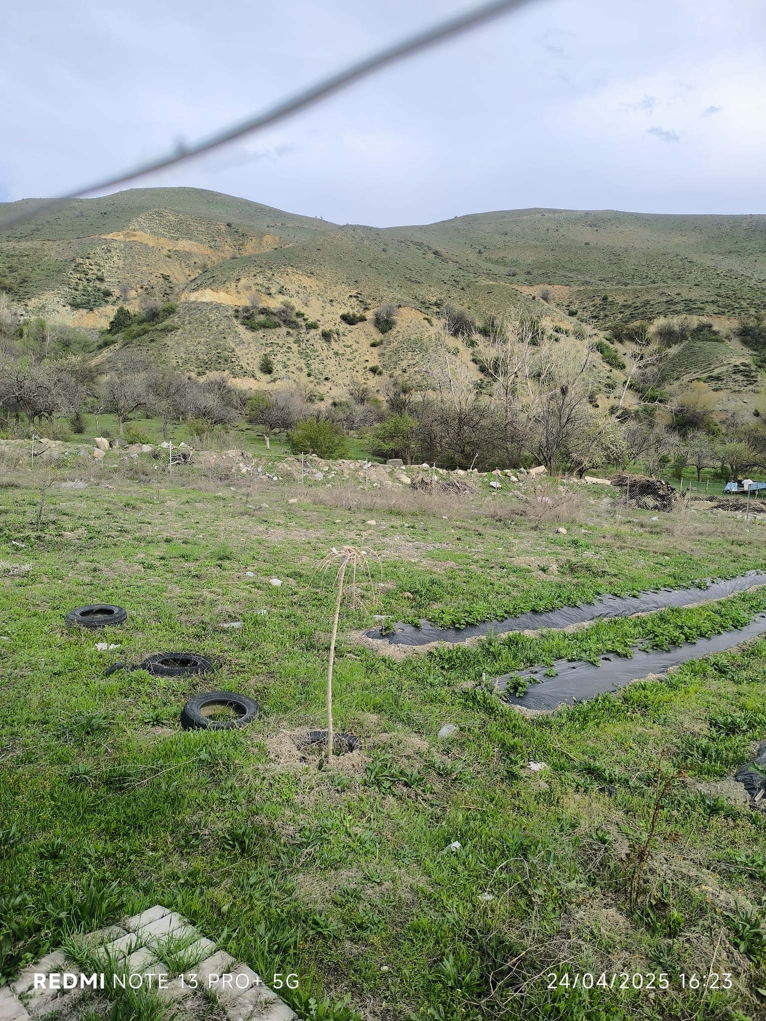 MABEL'DEN ÜZÜMLÜ/BAYIRBAĞ'DA SATILIK 3,843 M2 BAHÇE VE DOĞA EVİ